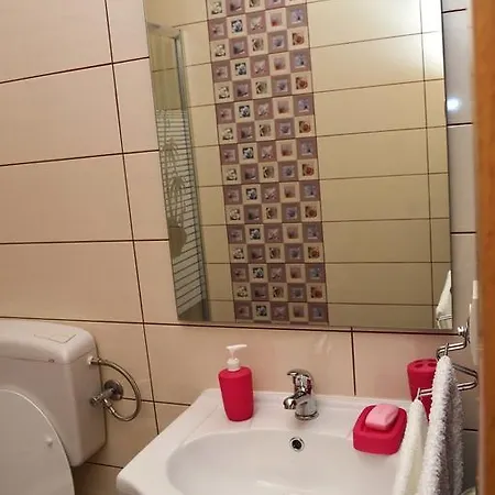Apartment Ancica *