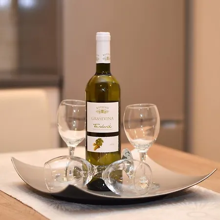Apartment Ancica *