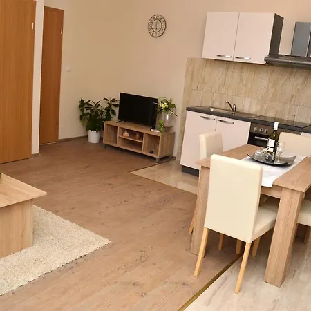 Apartment Ancica *