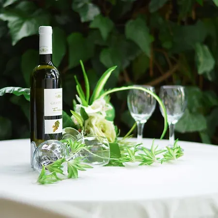 Apartament Ancica Split